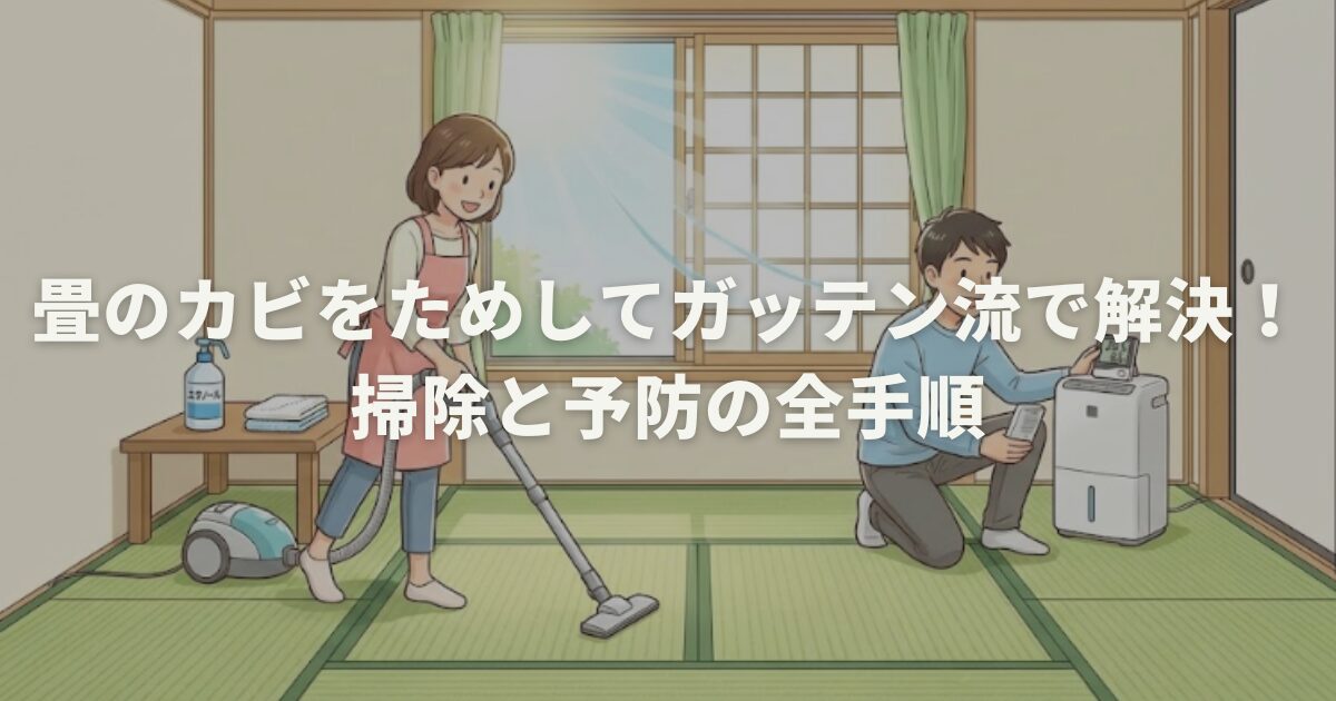 畳のカビをためしてガッテン流で解決！掃除と予防の全手順