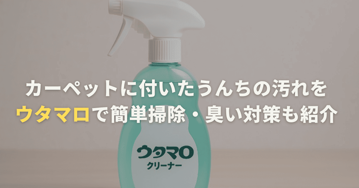 カーペットに付いたうんちの汚れをウタマロで簡単掃除・臭い対策も紹介