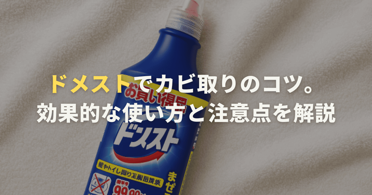 ドメストでカビ取りのコツ。効果的な使い方と注意点を解説