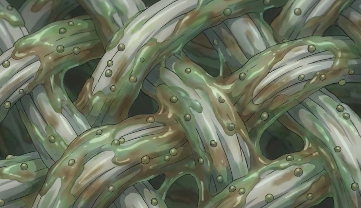 雑巾臭の原因であるモラクセラ菌とバイオフィルム