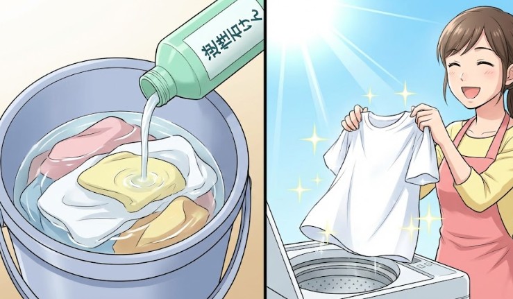 逆性石けんを併用する強力な消臭リセット術