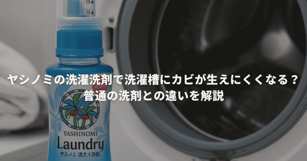 ヤシノミの洗濯洗剤で洗濯槽にカビが生えにくくなる？普通の洗剤との違いを解説