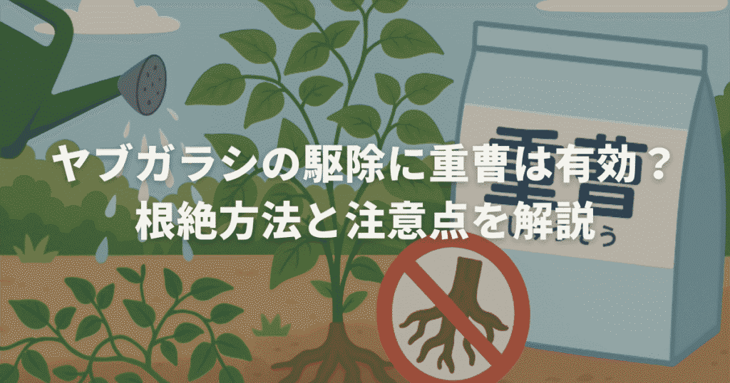 ヤブガラシの駆除に重曹は有効？根絶方法と注意点を解説