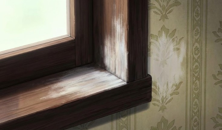 壁紙や木材が変色するリスクと素材の適合性